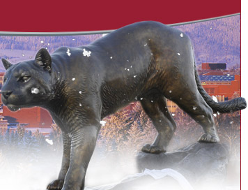 Cougar Pride Statue