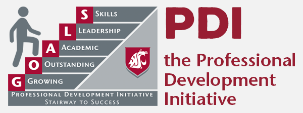 Professional Development Initiative stairway to success.