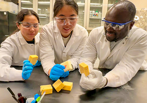 Ziqi Yu (Postdoc), Isaac Nartey Oduro (PhD student) and Daniela Gonzalez- Sepulveda (undergraduate RA) are examine lignin-based polyurethane samples.