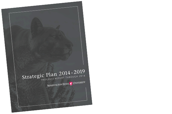 Strategic Plan 2014–2019 Progress Report Through 2016